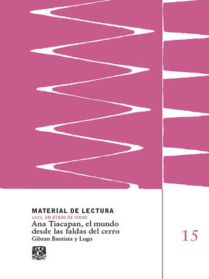 cover image of Ana Tiacapan, el mundo desde las faldas del cerro